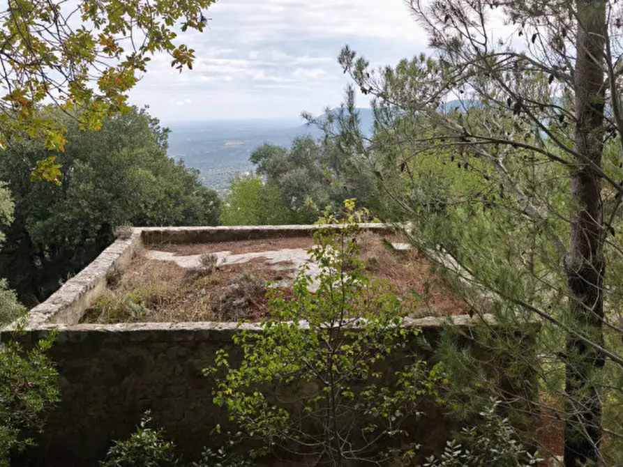 Immagine 10 di Rustico / casale in vendita  a Fasano