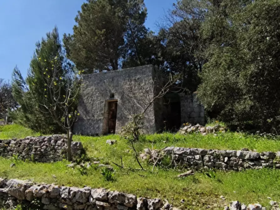Immagine 15 di Rustico / casale in vendita  a Fasano