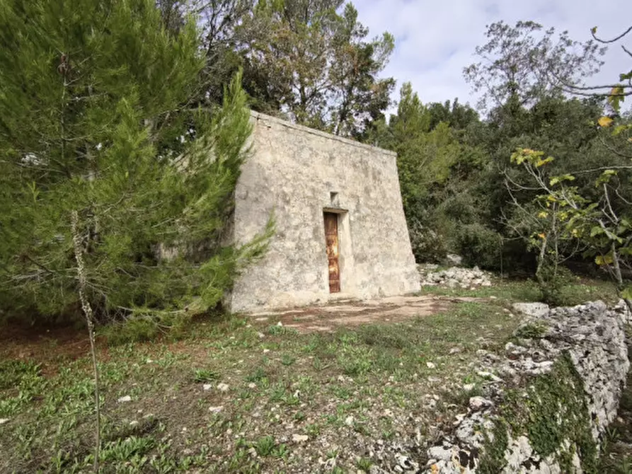 Immagine 16 di Rustico / casale in vendita  a Fasano