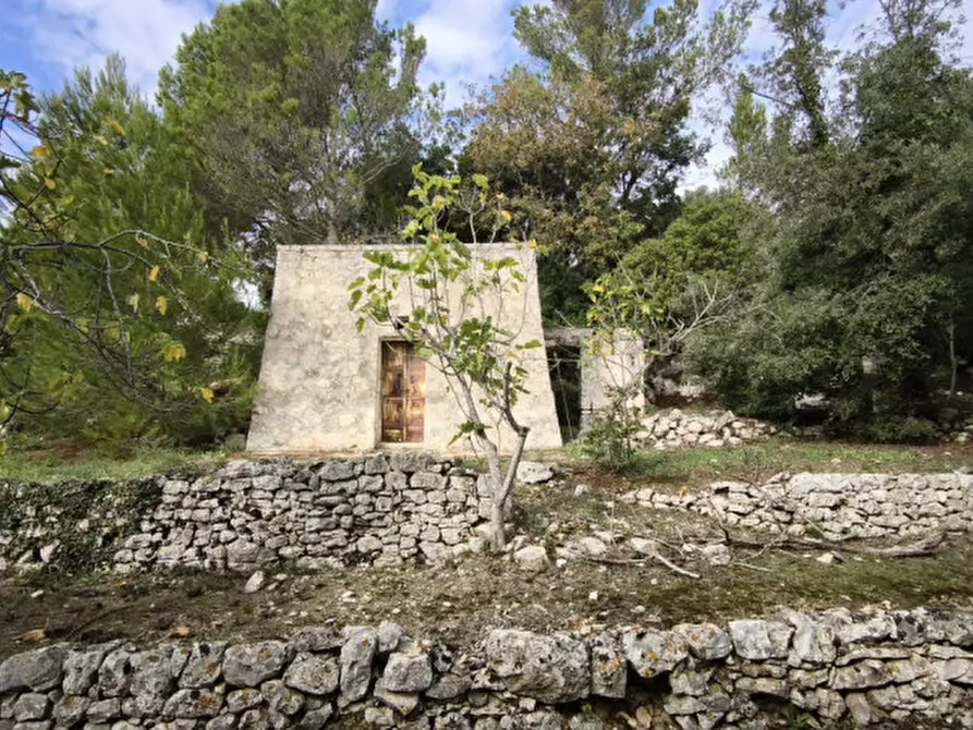 Immagine 17 di Rustico / casale in vendita  a Fasano