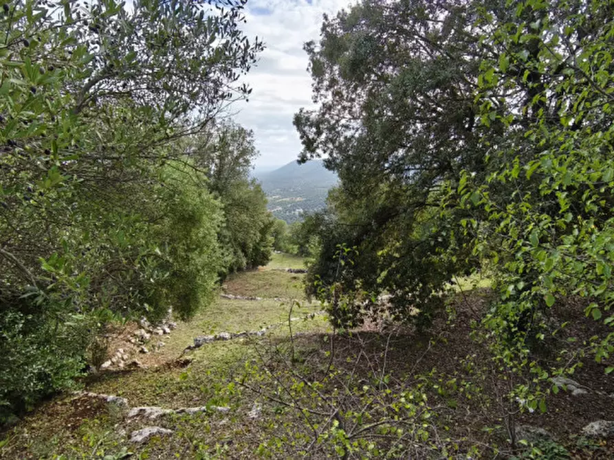 Immagine 19 di Rustico / casale in vendita  a Fasano