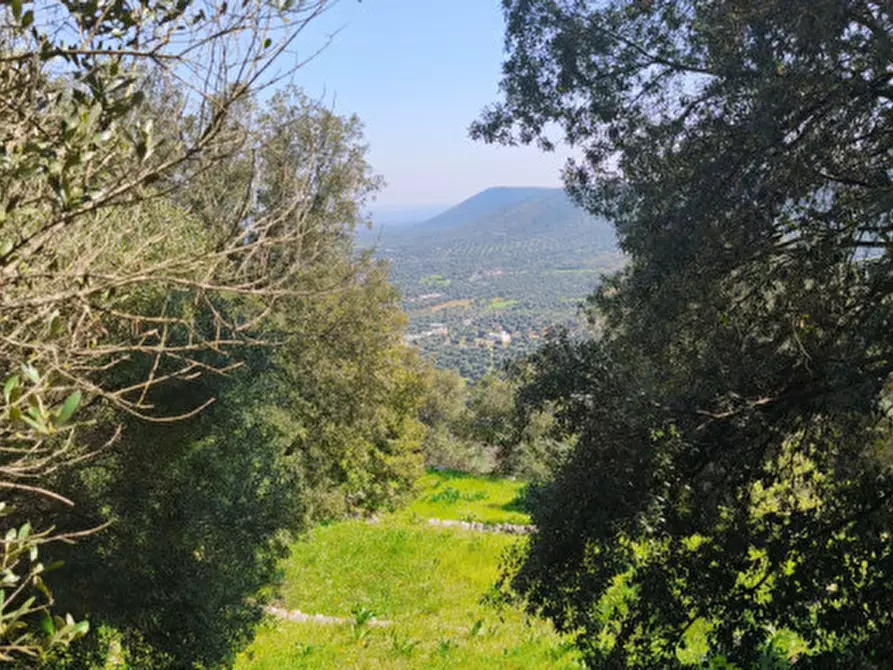 Immagine 20 di Rustico / casale in vendita  a Fasano