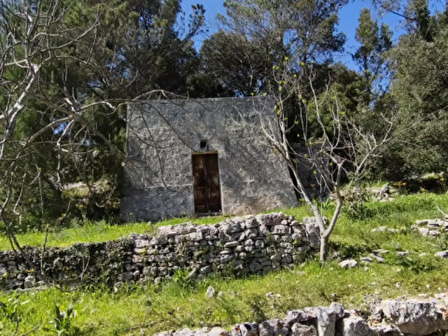 Immagine 21 di Rustico / casale in vendita  a Fasano