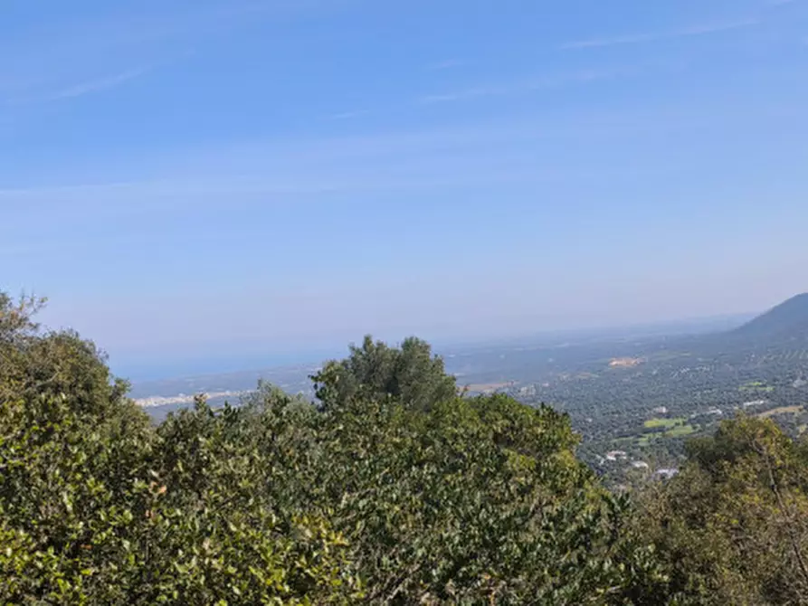 Immagine 22 di Rustico / casale in vendita  a Fasano