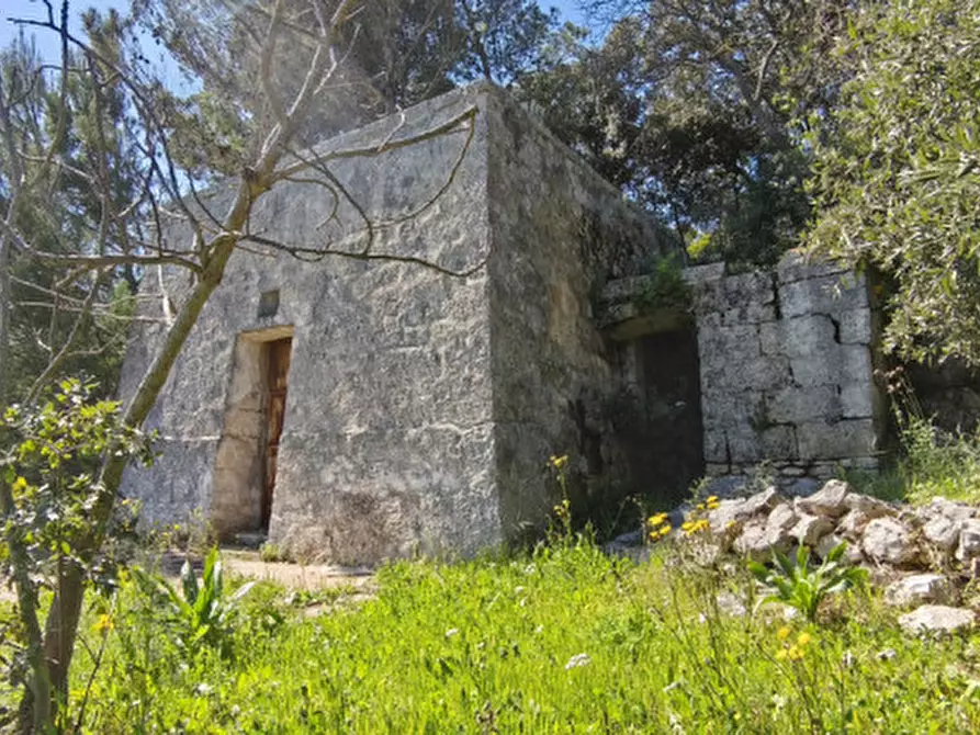Immagine 23 di Rustico / casale in vendita  a Fasano