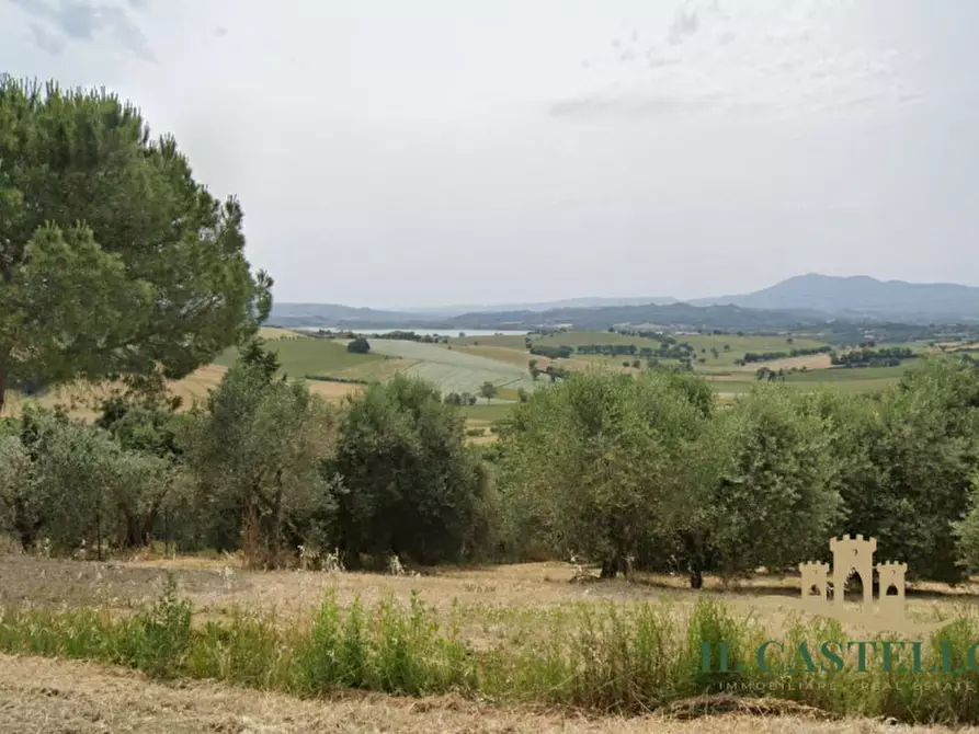 Immagine 3 di Villetta a schiera in vendita  a Castiglione Del Lago