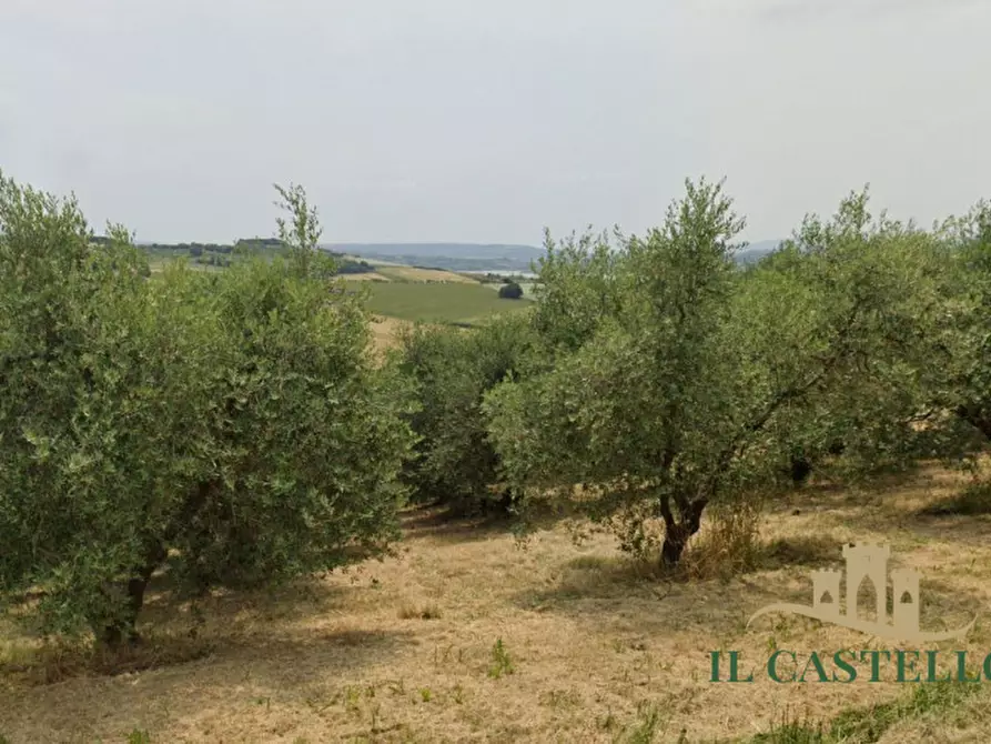 Immagine 4 di Villetta a schiera in vendita  a Castiglione Del Lago