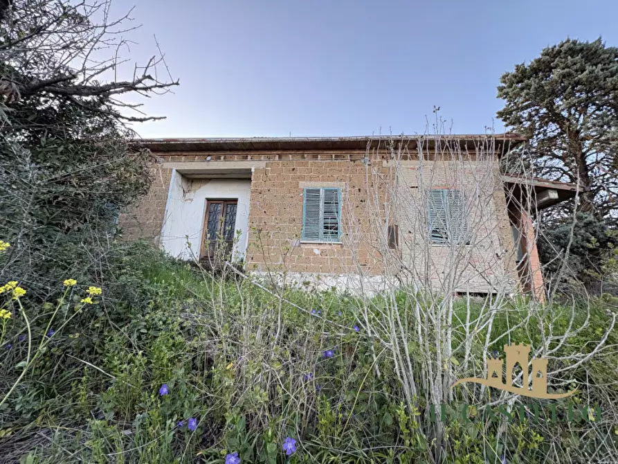 Immagine 11 di Villetta a schiera in vendita  a Castiglione Del Lago