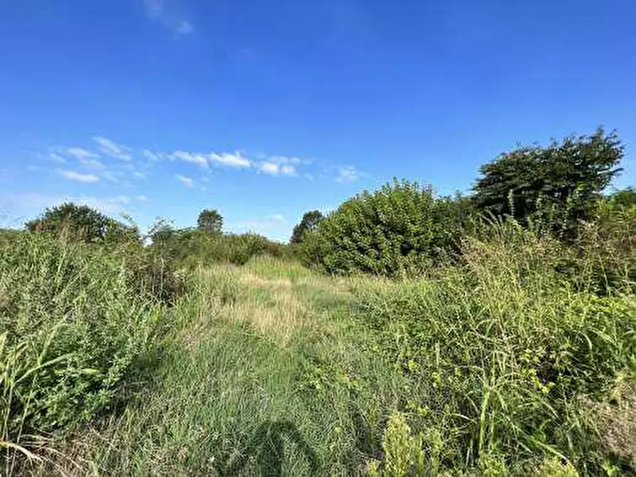 Immagine 3 di Terreno in vendita  in Località Tarmassia a Isola Della Scala