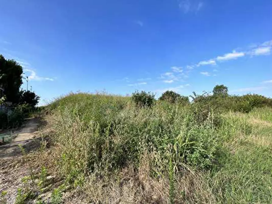 Immagine 4 di Terreno in vendita  in Località Tarmassia a Isola Della Scala