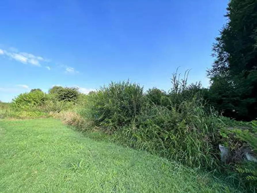 Immagine 5 di Terreno in vendita  in Località Tarmassia a Isola Della Scala