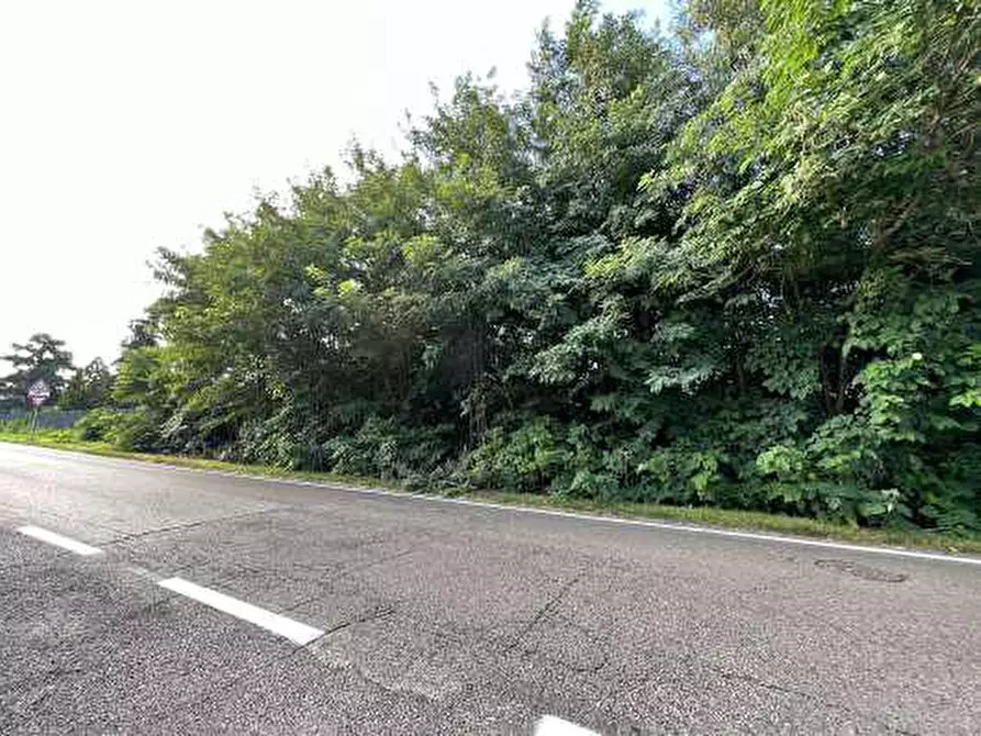 Immagine 6 di Terreno in vendita  in Località Tarmassia a Isola Della Scala