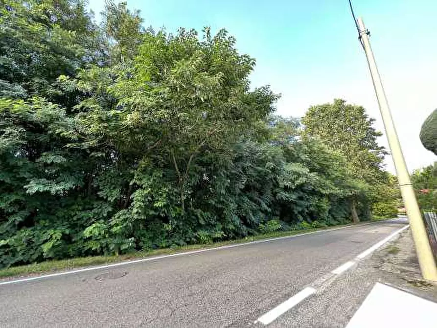 Immagine 7 di Terreno in vendita  in Località Tarmassia a Isola Della Scala