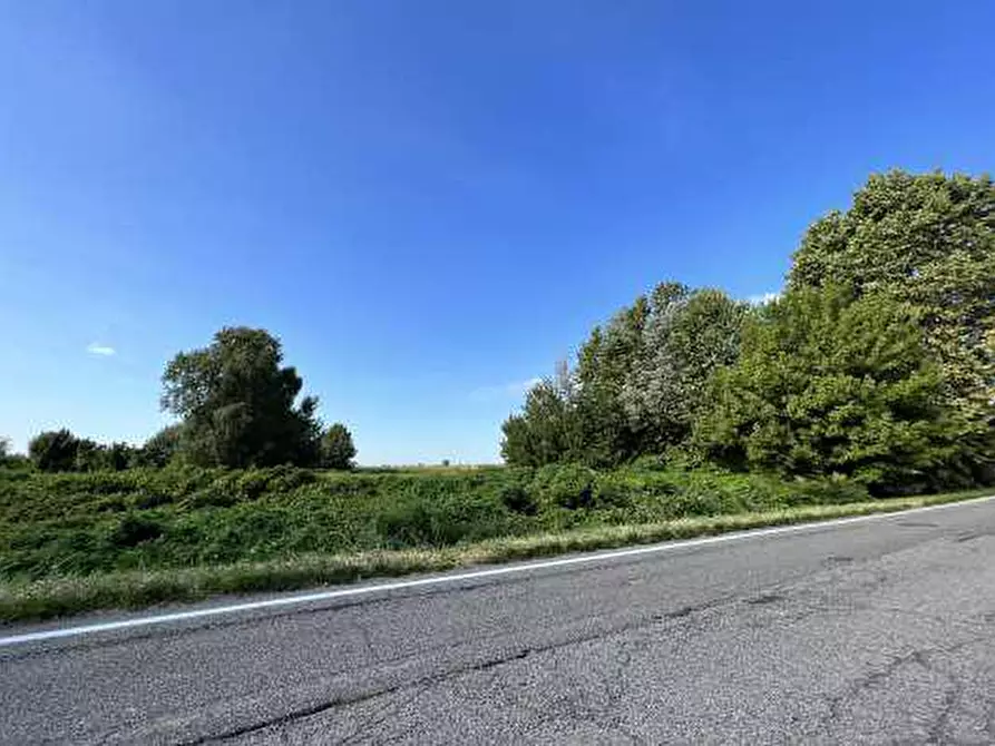 Immagine 8 di Terreno in vendita  in Località Tarmassia a Isola Della Scala
