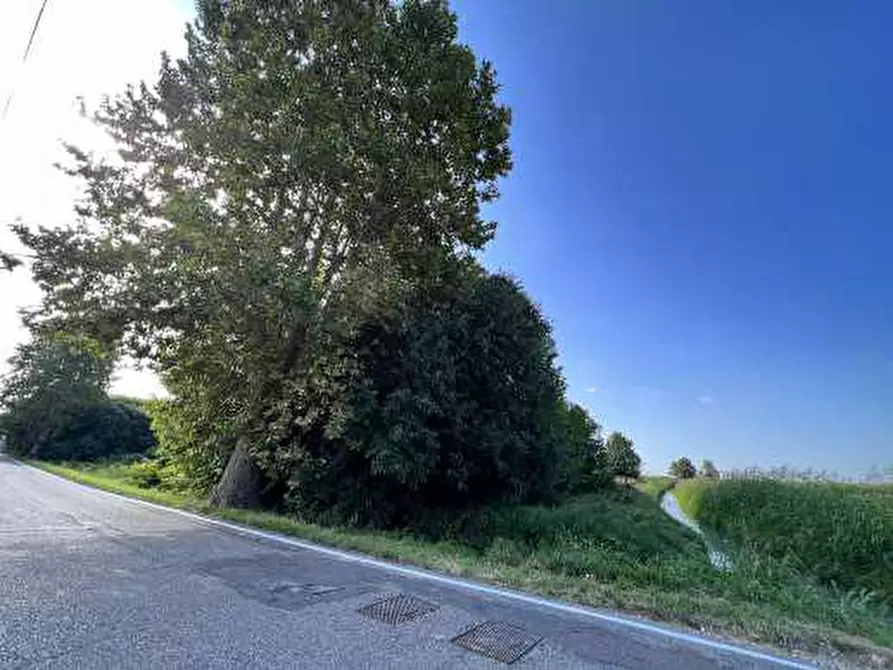 Immagine 9 di Terreno in vendita  in Località Tarmassia a Isola Della Scala