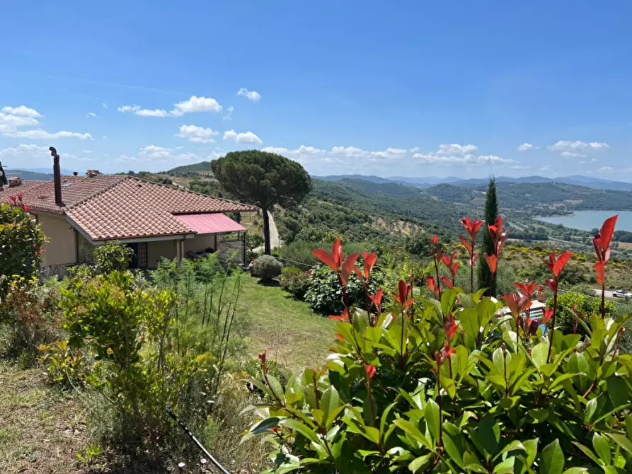 Immagine 2 di Villa in vendita  a Passignano Sul Trasimeno