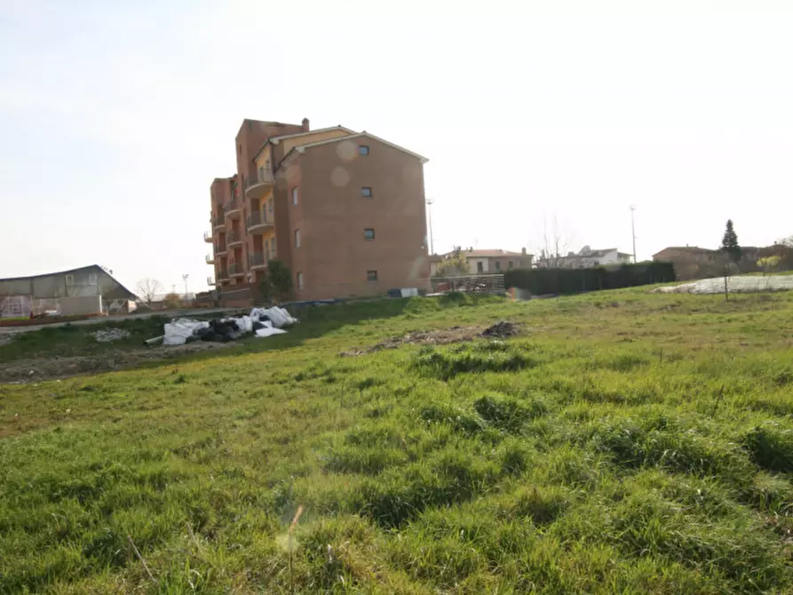Immagine 6 di Appartamento in vendita  a Sinalunga