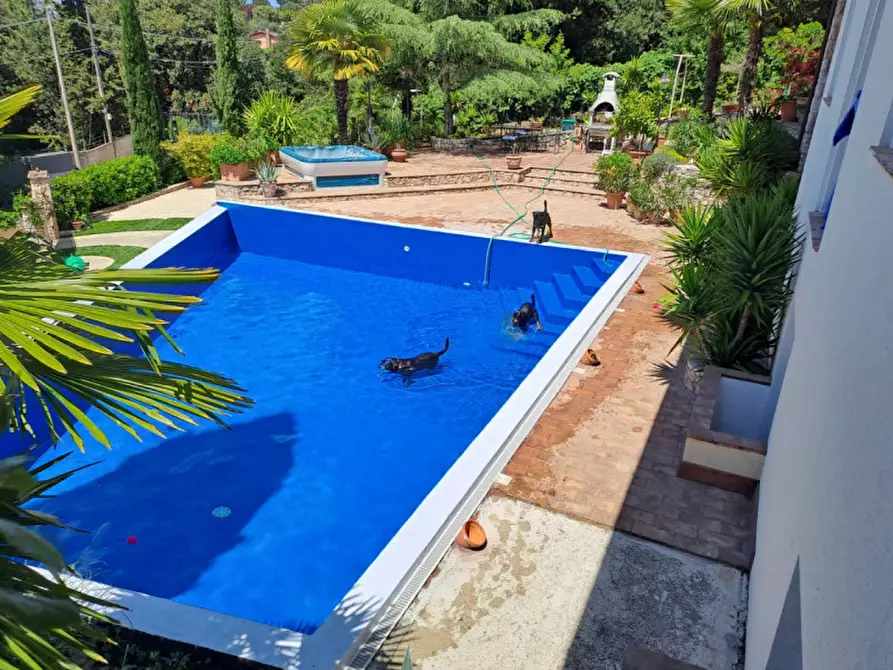 Immagine 6 di Villa in vendita  a Perugia