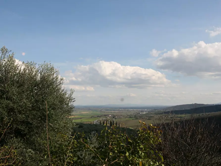 Immagine 5 di Casa indipendente in vendita  a Sinalunga