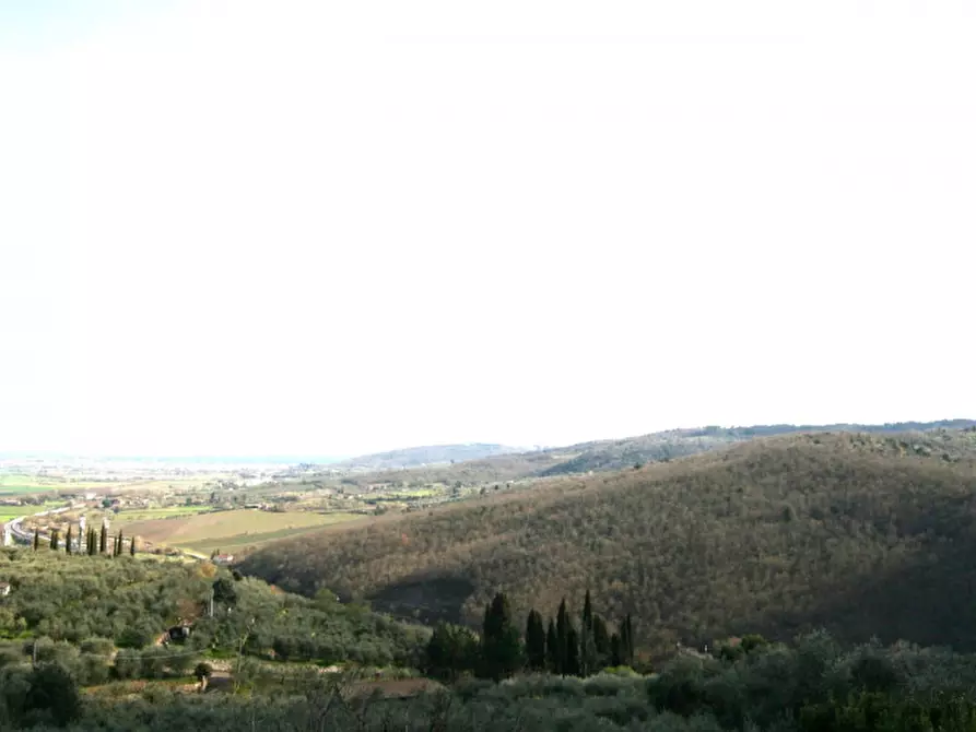 Immagine 12 di Casa indipendente in vendita  a Sinalunga