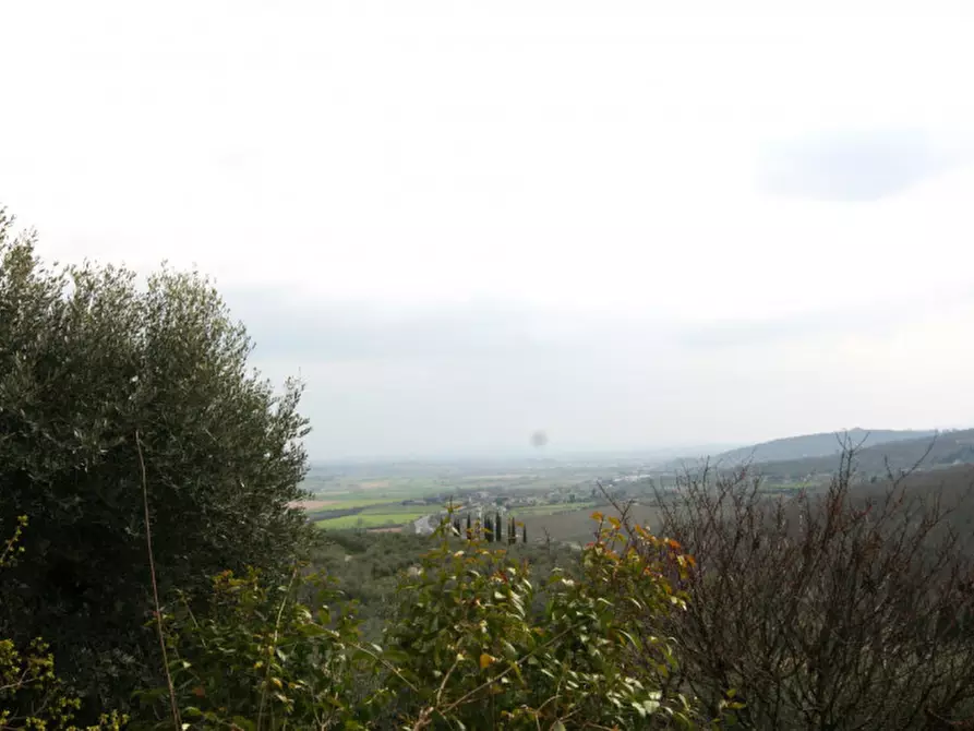 Immagine 26 di Casa indipendente in vendita  a Sinalunga