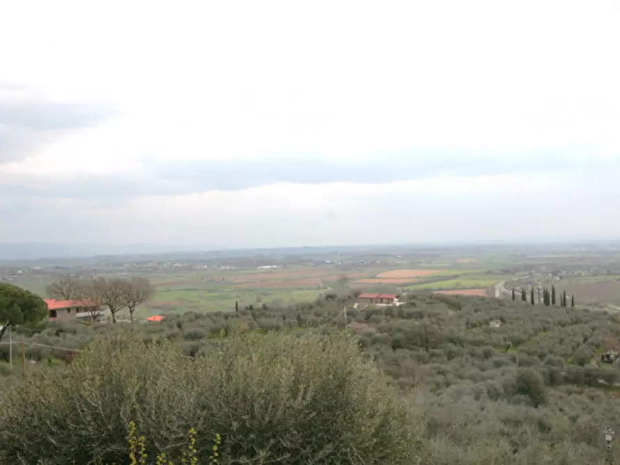 Immagine 39 di Casa indipendente in vendita  a Sinalunga