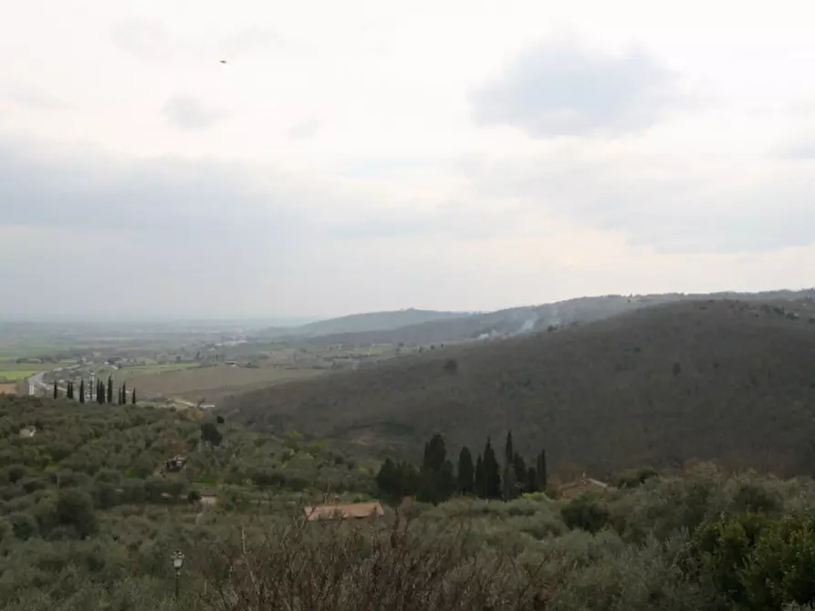 Immagine 40 di Casa indipendente in vendita  a Sinalunga