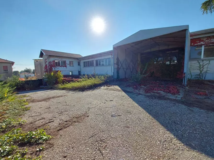 Immagine 3 di Capannone industriale in vendita  in via Monte Santo, N. 9 a Carnago