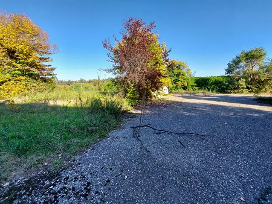 Immagine 5 di Capannone industriale in vendita  in via Monte Santo, N. 9 a Carnago