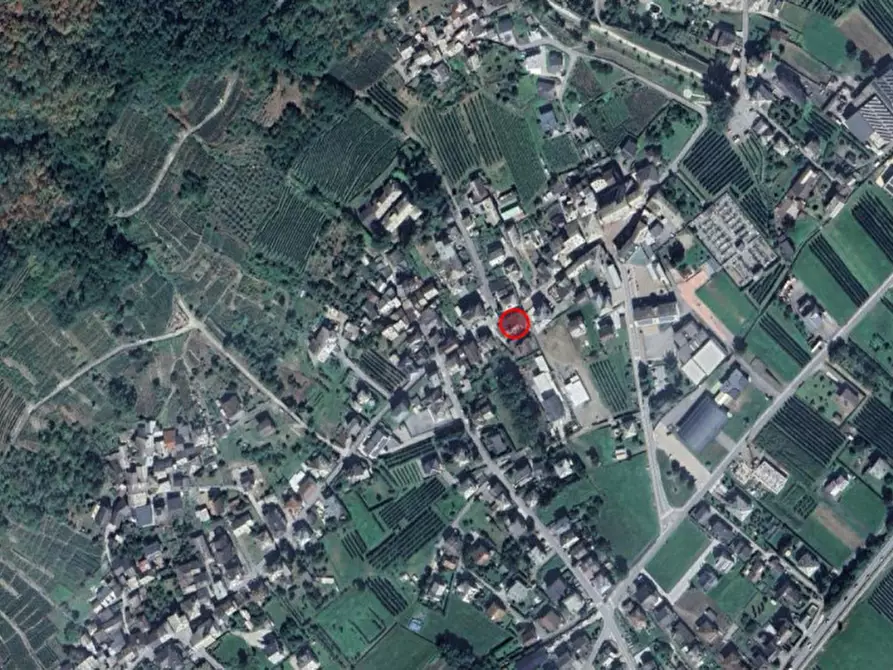 Immagine 6 di Ufficio in vendita  in VIA ROMA, N. 24 a Villa Di Tirano