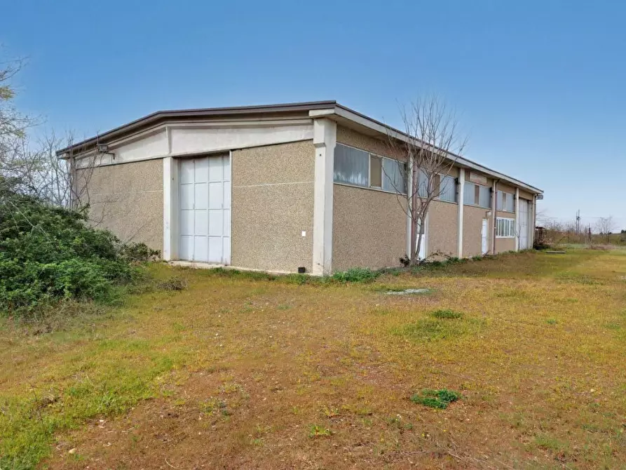 Immagine 2 di Capannone industriale in vendita  in Via Piacenza, N. 94 a Alessandria