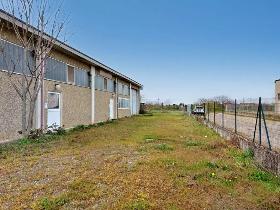 Immagine 3 di Capannone industriale in vendita  in Via Piacenza, N. 94 a Alessandria