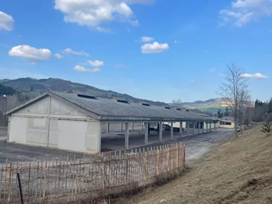 Immagine 2 di Capannone industriale in vendita  in via santo stefano a Rocca San Casciano