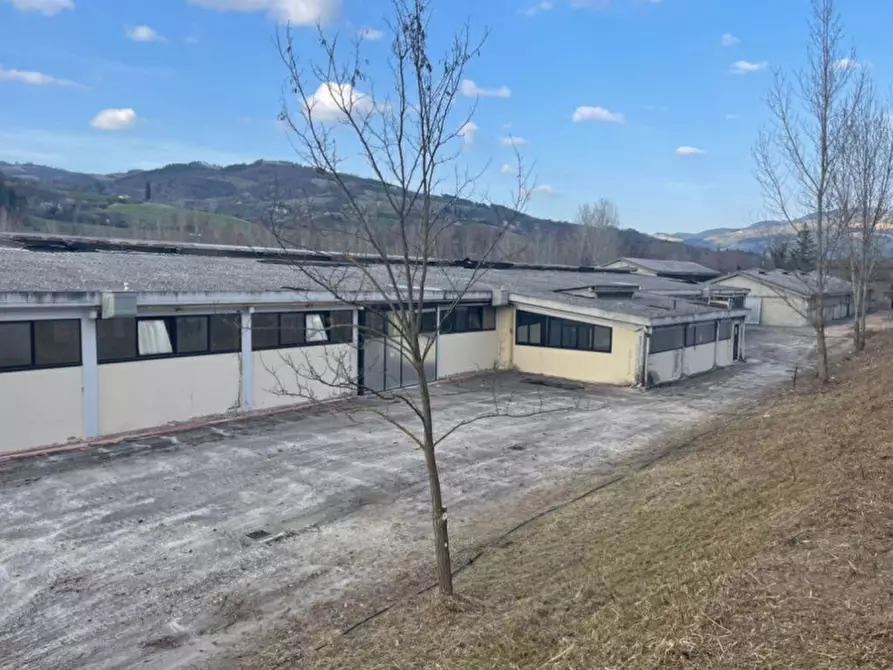 Immagine 3 di Capannone industriale in vendita  in via santo stefano a Rocca San Casciano