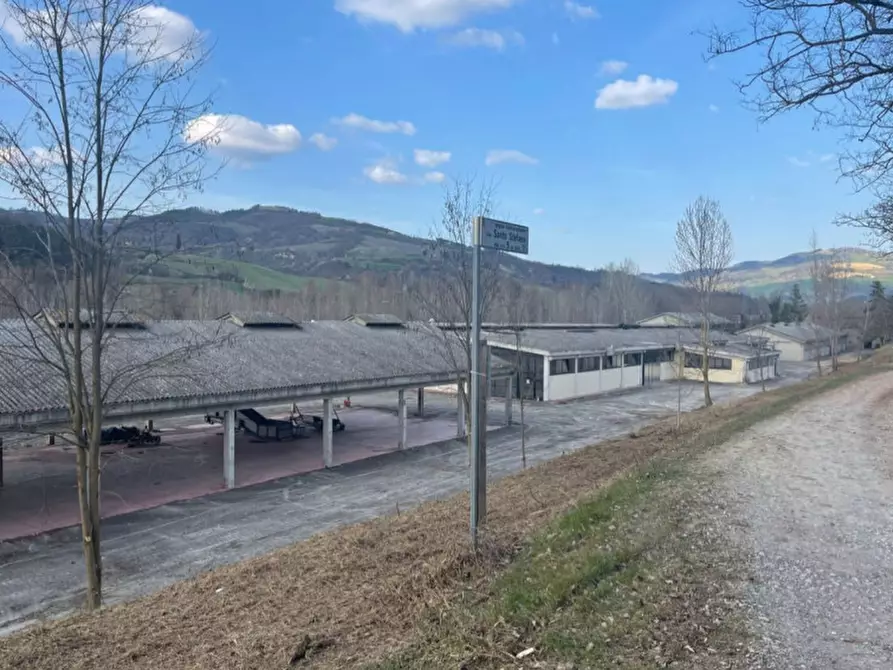 Immagine 5 di Capannone industriale in vendita  in via santo stefano a Rocca San Casciano