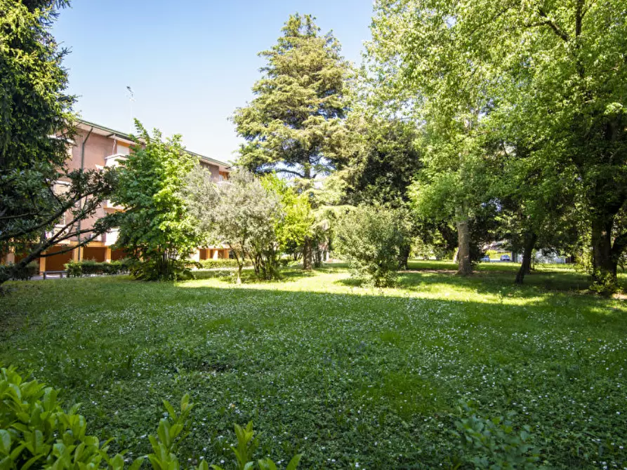 Immagine 12 di Appartamento in vendita  a Padova