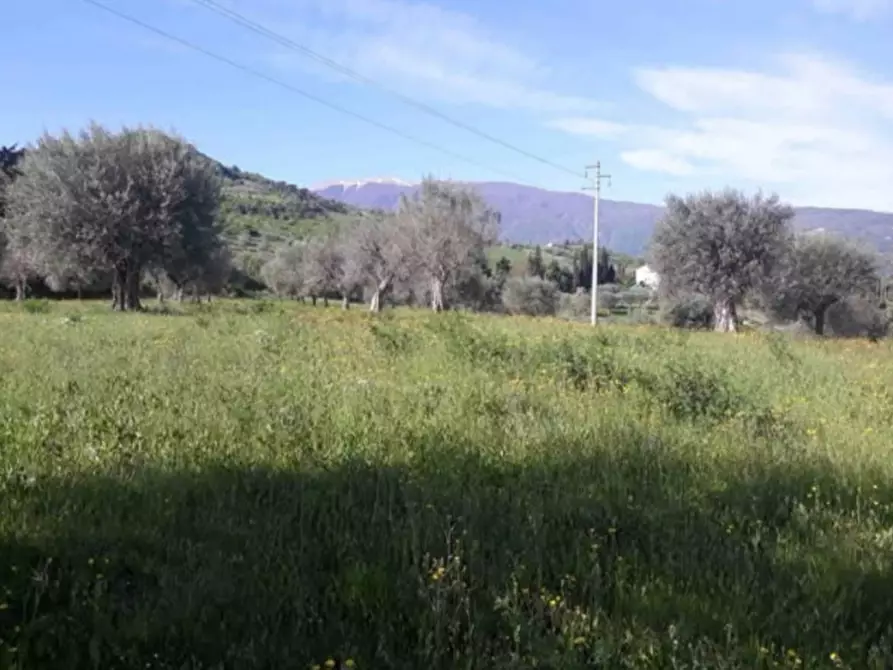 Immagine 3 di Terreno in vendita  in Maltignano a Ascoli Piceno