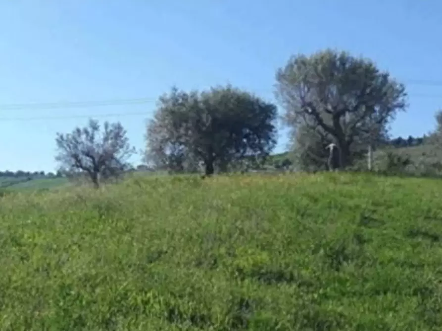 Immagine 4 di Terreno in vendita  in Maltignano a Ascoli Piceno