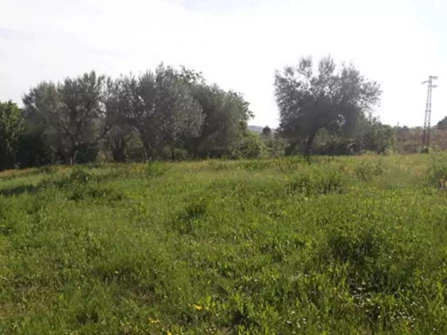 Immagine 5 di Terreno in vendita  in Maltignano a Ascoli Piceno
