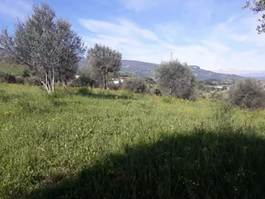 Immagine 6 di Terreno in vendita  in Maltignano a Ascoli Piceno