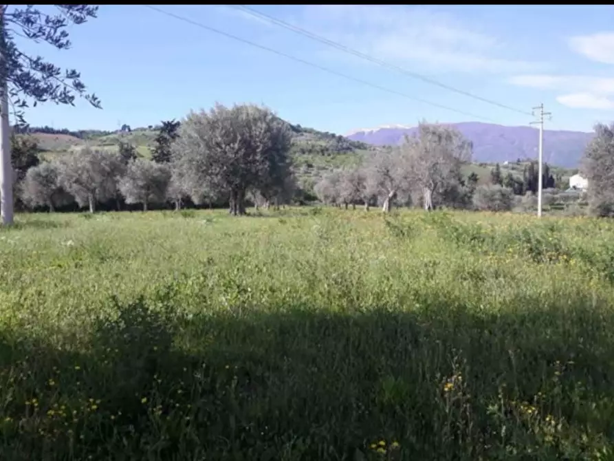 Immagine 7 di Terreno in vendita  in Maltignano a Ascoli Piceno