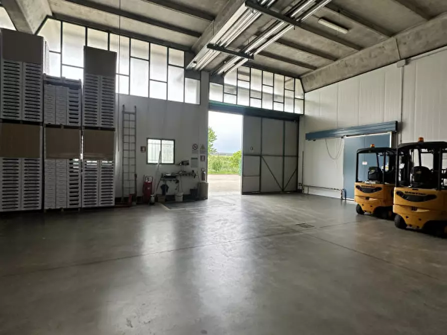 Immagine 3 di Capannone industriale in vendita  in Via Marocchesa a Mogliano Veneto