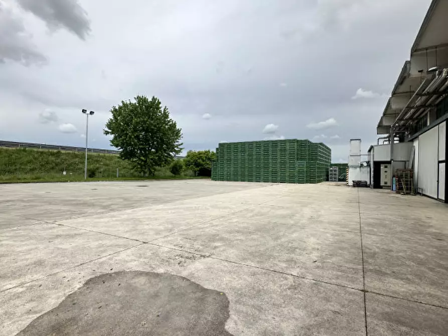 Immagine 5 di Capannone industriale in vendita  in Via Marocchesa a Mogliano Veneto