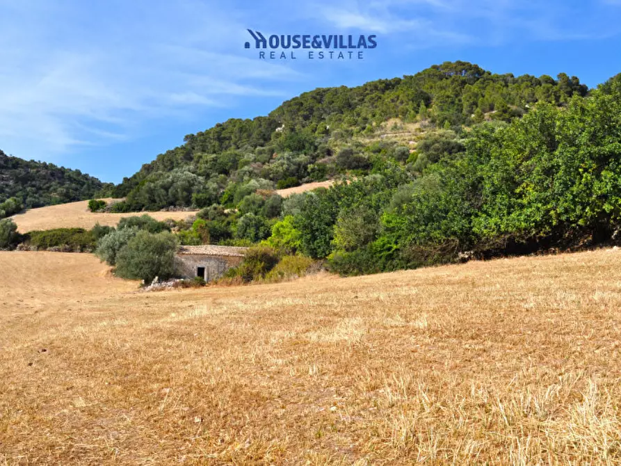 Immagine 1 di Villa in vendita  in Strada provinciale del Castelluccio a Noto