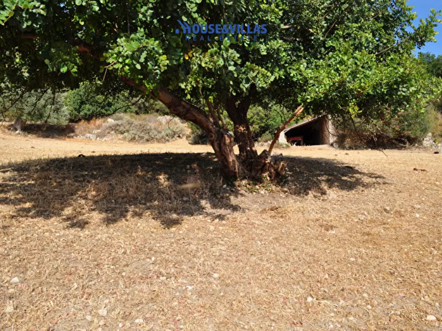 Immagine 4 di Villa in vendita  in Strada provinciale del Castelluccio a Noto