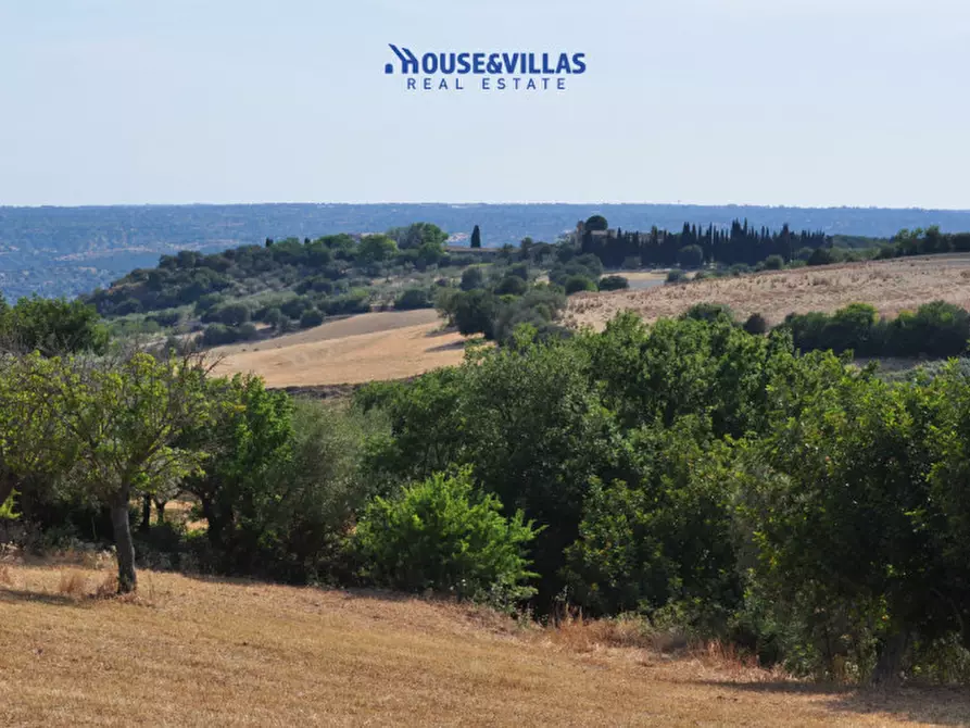 Immagine 5 di Villa in vendita  in Strada provinciale del Castelluccio a Noto