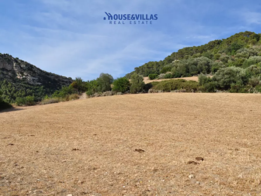Immagine 7 di Villa in vendita  in Strada provinciale del Castelluccio a Noto