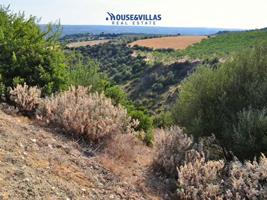 Immagine 8 di Villa in vendita  in Strada provinciale del Castelluccio a Noto