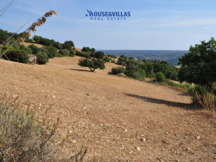 Immagine 9 di Villa in vendita  in Strada provinciale del Castelluccio a Noto