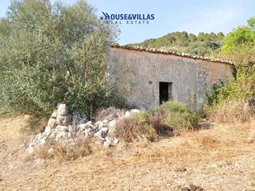 Immagine 11 di Villa in vendita  in Strada provinciale del Castelluccio a Noto